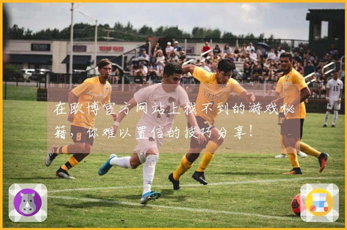 在欧博官方网站上找不到的游戏秘籍，你难以置信的技巧分享！