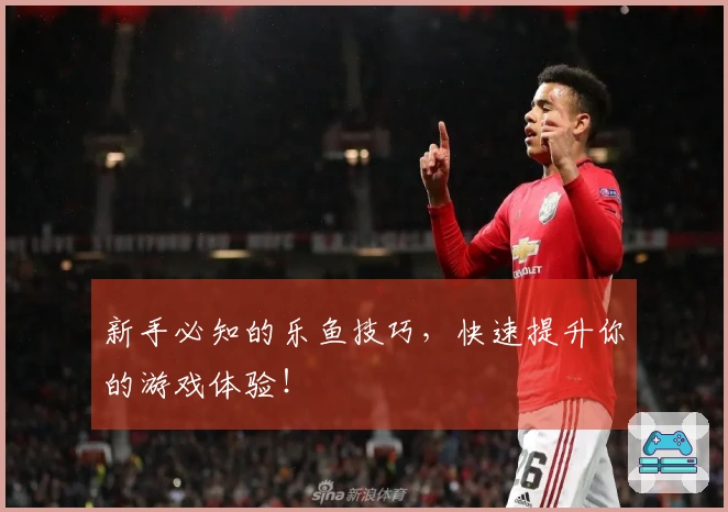 新手必知的乐鱼技巧，快速提升你的游戏体验！