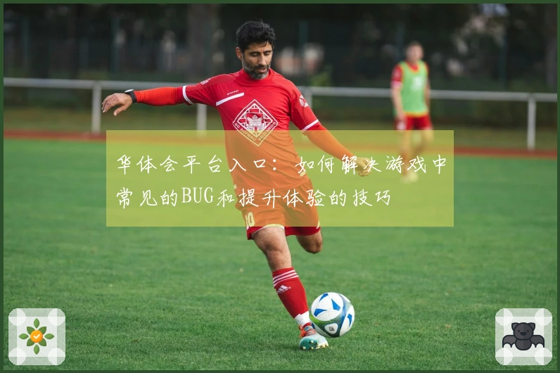 华体会平台入口：如何解决游戏中常见的BUG和提升体验的技巧